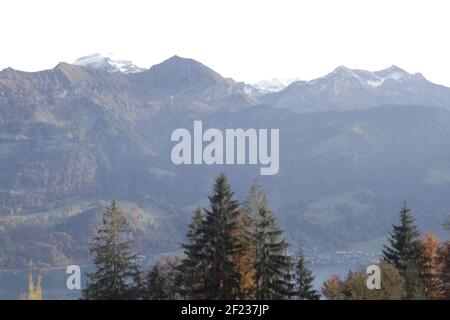 La mia passeggiata in Europa alberi Mystc Forrest natura selvaggia Weilimdorf Lindental Stuttgart Interlaken Dremland mistica natura romantica Terra da coprire design Foto Stock