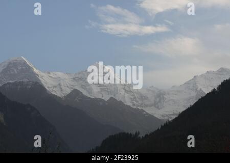 La mia passeggiata in Europa alberi Mystc Forrest natura selvaggia Weilimdorf Lindental Stuttgart Interlaken Dremland mistica natura romantica Terra da coprire design Foto Stock