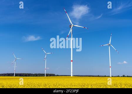 Turbine eoliche e un campo fiorito di canola visto in Germania Foto Stock