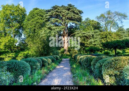 Francia, Loir et Cher, Cheverny, Chateau de Cheverny, giardino dell'apprendista, Vicolo rivestito con palle di agrifoglio variegate, salice di foglie di rosmarino e Lebano Foto Stock