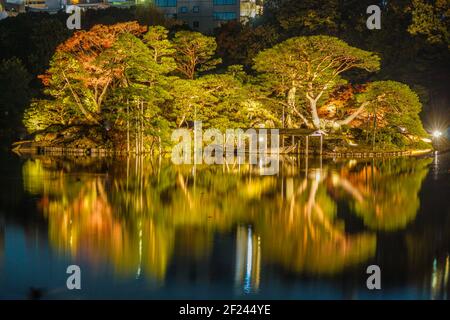 L'autunno lascia l'immagine di un giardino giapponese Foto Stock