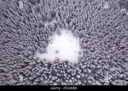 La cima del drone aereo vola sopra la foresta invernale di abete rosso e pino con cabina in legno. Abeti nella valle montana ricoperta di neve. Fotografia di paesaggio Foto Stock