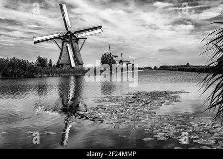 Una scala di grigi di mulini a vento accanto ad un lago Foto Stock