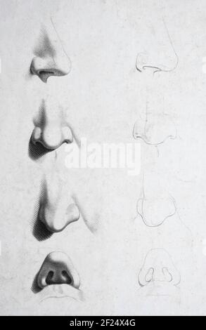 Studio e schizzi di diversi nasi su un volto in bianco e nero. Illustrazione del XIX secolo per insegnare agli artisti come disegnare un naso. Artista sconosciuto Foto Stock