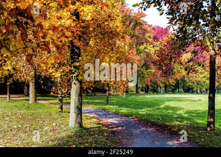 Tinte di autunno nel Parco di Monza Italia Foto Stock