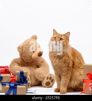 Gatto zenzero adulto seduto al centro delle scatole avvolte in carta marrone e legato con nastro di seta Foto Stock