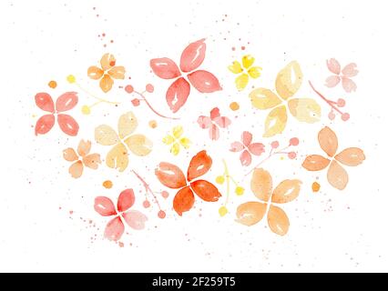 Acquerello fiori semplici isolati su sfondo bianco. Illustrazione floreale disegnata a mano Foto Stock