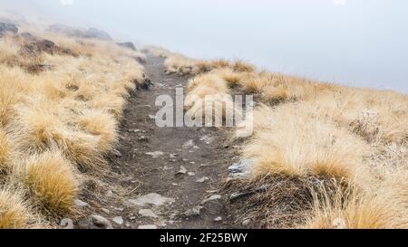 Strada di montagna nella nebbia mattutina, Nepal, Himalaya Foto Stock