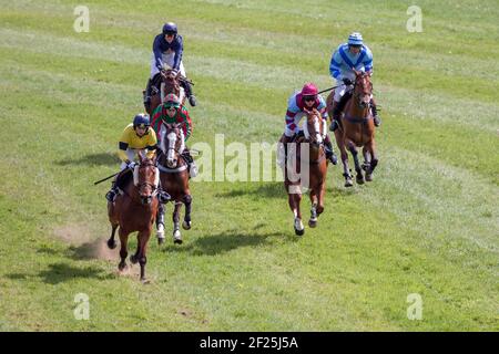 GODSTONE, SURREY/UK - 2 maggio : punto a punto racing a Godstone Surrey il 2 maggio 2009. Persone non identificate Foto Stock