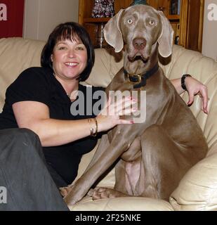 SAM KERRY CON IL SUO CANE CASPER. SAM HA RICEVUTO UN'ASSICURAZIONE DI £5,000 PAGA FUORI DOPO CHE CASPER ATE I SUOI ANELLI. PIC MIKE WALKER, 2007 Foto Stock