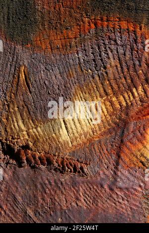 Vecchio Rusty danneggiato legno sfondo Foto Stock