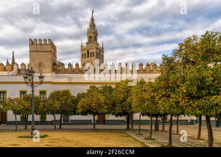 Vista sullo storico patio de Banderas di Siviglia con la cattedrale sullo sfondo Foto Stock