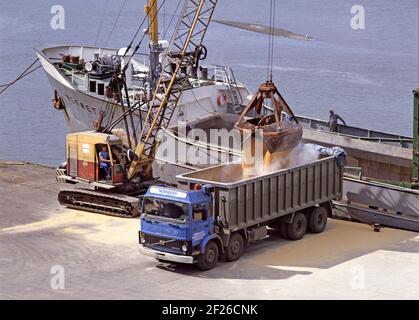 Archivio storico degli anni '80 vista aerea del cassone ribaltabile per autotrasportatori vuoti il carrello si è invertito per aprire la tenuta di una rinfusa ancorata nave carrier freighter con operatore di banchina che guida lo scarico della gru degli anni '80 Grano polveroso in camion al porto sul Mistley Quay A. Piccole aziende portuali e portuali sul fiume Stour un archivio Immagine del modo in cui eravamo nel 1986 a Manningtree Essex Inghilterra Regno Unito Foto Stock