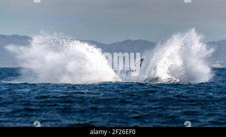 La balena di megattere batte la sua pinna sulla superficie del oceano con le montagne sullo sfondo causando uno spruzzi durante la balena Tour di osservazione a Puerto Vallarta Foto Stock