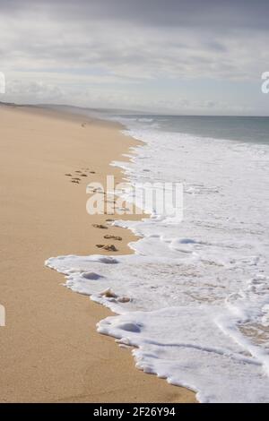 Spiaggia vuota selvaggia con i passi sulla sabbia e le onde oceaniche sulla sabbia a Comporta, Portogallo Foto Stock