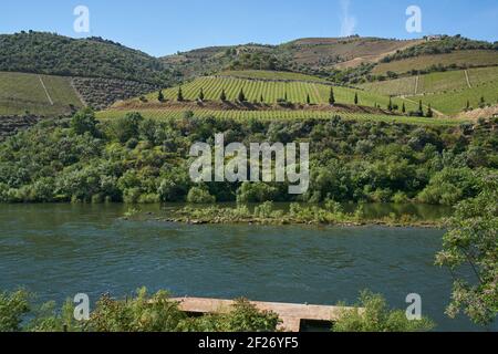 Valle del vino del fiume Douro in Portogallo Foto Stock