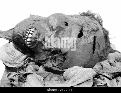 Faraone Seqenenire Tao. Testa mummificata di Seqenenire raffigurante le sue ferite. Il taglio sopra il suo occhio è stato fatto da un'altra arma, molto probabilmente una sorta di pugnale. Seqenire Tao (anche Seqenera Djehuty-aa o Sekenenra TAA) ha governato l'ultimo dei regni locali della regione tebana dell'Egitto nella diciassettesima dinastia durante il secondo periodo intermedio. Foto Stock