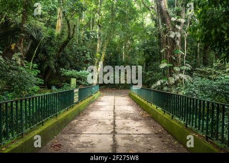 Splendida vista sul ponte che attraversa la verde foresta pluviale di Tijuca Foto Stock