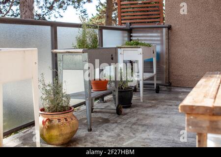 Una piantatrice da giardino sopraelevata in bianco e argento (galvanizzato) si trova su un patio dell'appartamento in primavera. Piantatrici in piedi sono un ottimo modo per giardino in una ur Foto Stock