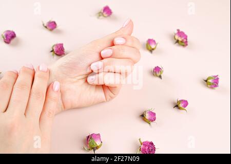 Donne belle mani su uno sfondo di boccioli di rosa . Foto di alta qualità Foto Stock