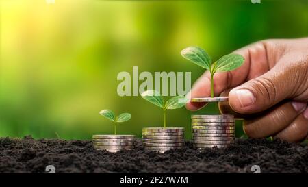 Piantando un albero su un mucchio di soldi, compresa la mano di una donna che tiene una moneta ad un albero sulla moneta, soldi che risparmiano idee e investendo nel futuro Foto Stock