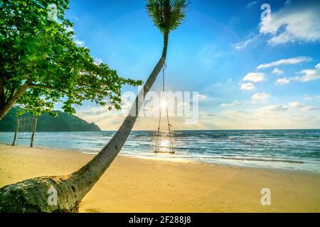 L'oscillazione del sole fissata ad un albero delle palme nella spiaggia idilliaca di Sao nell'isola di Phu Quoc, Vietnam. La spiaggia di Sao è una delle migliori spiagge del Vietnam. Foto Stock