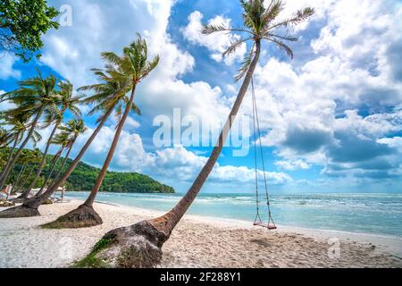 Altalena attaccato ad un albero di palme nella idilliaca spiaggia di Sao nell'isola di Phu Quoc, Vietnam. La spiaggia di Sao è una delle migliori spiagge del Vietnam. Foto Stock