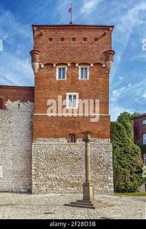 Torre dei ladri, Cracovia, Polonia Foto Stock