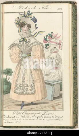 Petit Courrier des Dames, 20 juillet 1829, No. 653 : Chapeau de paille de riz....donna in piedi in un Jap e 'Pelerine Valentine' da Tule, dai negozi di Payant. Cappello da 'Paille de Riz'. Figura seduta, vista sul retro, nello stesso abito. Stampa dalla rivista di moda Petit Courier des Ladies (1821-1868). Rilegatura (con alcune pagine. Le Journal des Laden et des Modes). Dal 15 gennaio 1827 al 20 marzo 1830. Incompleto. Foto Stock