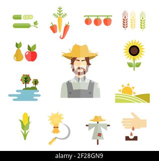 Set di colorate icone di fattoria vettoriale per la coltivazione di cereali frutta e verdure con un contadino piselli carote peperoni mela pera frutteto di girasole Illustrazione Vettoriale