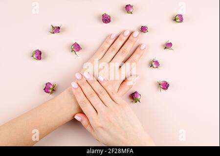 Donne belle mani su uno sfondo di boccioli di rosa . Foto di alta qualità Foto Stock