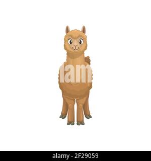 Guanaco lama guanicoe originario del Sud America, legato al lama. Vettore piano cartoon lama ritratto animale con lana di pelliccia marrone. Allevamento bestiame ma Illustrazione Vettoriale