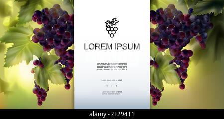 Modello realistico di uva fresca biologica con posto per il testo e. grappoli di uve rosse sane e mature su vettore di fondo sfocato illustrazione Illustrazione Vettoriale