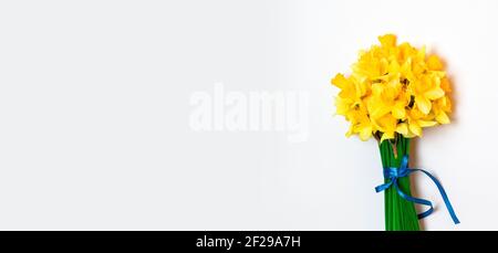 Giallo pring fiori di fiori di fiore su sfondo giallo. Disposizione piatta, vista dall'alto. Foto Stock