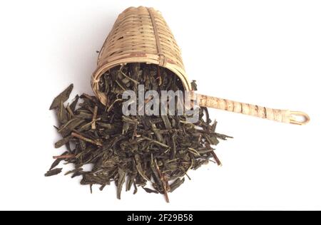 Succhietti di tè di bambù, tè verde, foglie secche di pianta del tè, Camellia sinensis, non fermentato, Darjeeling, tè misto da varie foglie e fiori secchi Foto Stock