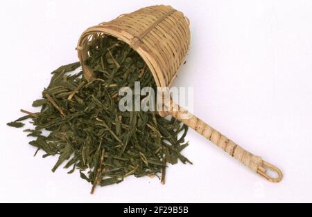 Succhietti di tè di bambù, tè verde, foglie secche di pianta del tè, Camellia sinensis, non fermentato, Darjeeling, tè misto da varie foglie e fiori secchi Foto Stock