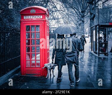 Londra- Marzo 2021: Holland Road a West London e una coppia che cammina un cane che sta cocking la gamba contro una cabina telefonica rossa. Foto Stock