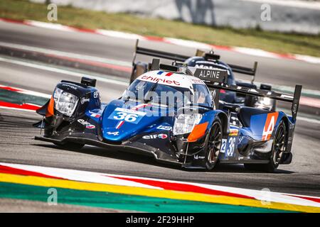 36 THOMAS LAURENT (fra) ANDRE NEGRAO (BRA) PIERRE RAGUES (fra) ALPINE A470 - GIBSON SIGNATECH ALPINE ELF AZIONE durante il 2019 FIA WEC World Endurance Championship prologo a Barcellona Catalunya, Spagna, dal 23 al 24 luglio - Foto Francois Flamand / DPPI Foto Stock