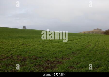 Brightwell Barrow e Wittenham Clums, Oxfordshire, Inghilterra, Regno Unito Foto Stock