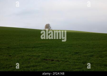 Brightwell Barrow, Oxfordshire, Inghilterra, Regno Unito Foto Stock