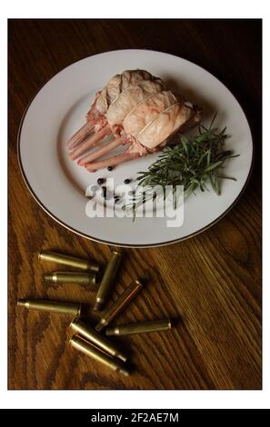 Caccia al cinghiale a 'CHASSE DE LA LOIRE' in Francia....Direttore Chef di Caprice Holdings Ltd. Mark Hix, preparando Wild Boar rack di costole, con Niels Bryan-Low nella cucina del Lodge.pic David Sandison 2/3/2003 Foto Stock