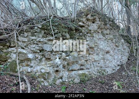 ROVINE DI STARI GRAD IN CROAZIA Foto Stock