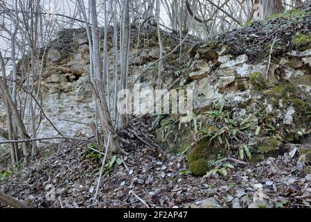 ROVINE DI STARI GRAD IN CROAZIA Foto Stock