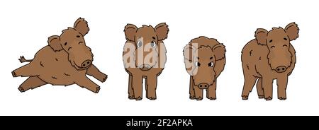 Insieme di vettore marrone contorno carino fumetto boar in diverse pose. Gli stativi degli animali soffici, corre, è felice, è arrabbiato e pronto ad attaccare. Vista laterale anteriore. Illustrazione Vettoriale