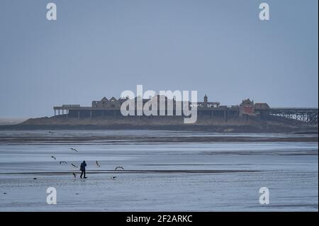 Un escursionista è circondato da gabbiani sulla spiaggia di Weston-super-Mare, Somerset. Sono state emesse avvertenze di sicurezza per le zone costiere dell'Inghilterra e del Galles, come previsto vento fino a 70 mph. Data immagine: Giovedì 11 marzo 2021. Foto Stock