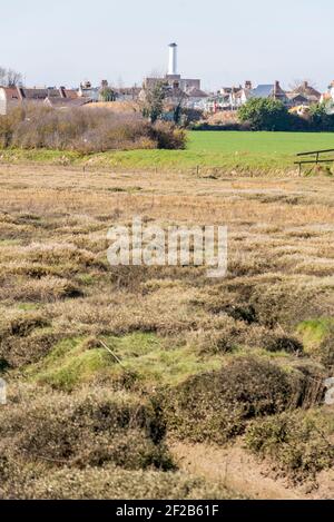 Alluvione paludi pianura del fiume Roach a bassa marea vicino Rochford e Stambridge, Essex, Regno Unito. Guardando verso Rochford con il vecchio camino della casa della caldaia Foto Stock