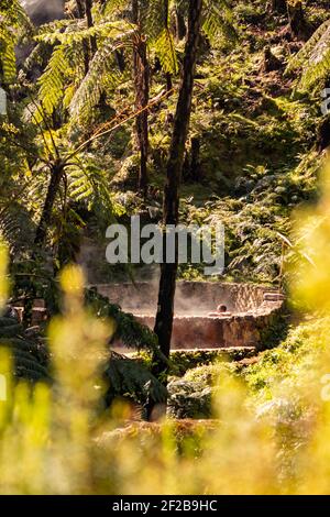 Solo uomo godendo Caldeira Velha, monumento naturale alle isole Azzorre, zona geotermica. Foto Stock