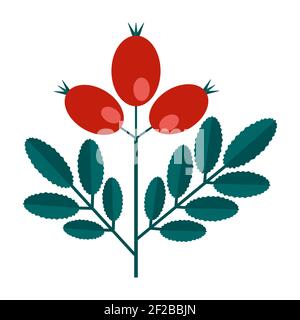 Semplice rametto verde minimalista di un branco con foglie e bacche rosse. Collezione floreale di piante colorate ed eleganti per decorazioni stagionali. Stilo Illustrazione Vettoriale