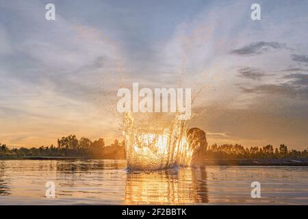 Rete di pesca che spruzzi nel fiume come pescatore getta rete, Thailandia Foto Stock