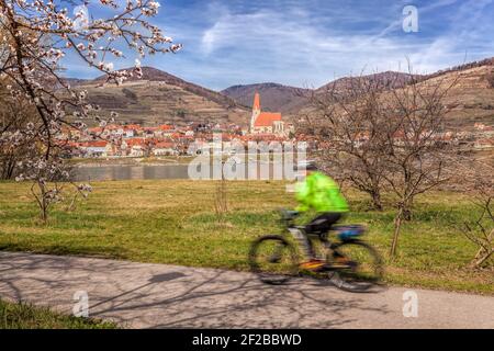 Ciclista sulla pista ciclabile contro il villaggio di Weissenkirchen durante la primavera a Wachau, Austria Foto Stock